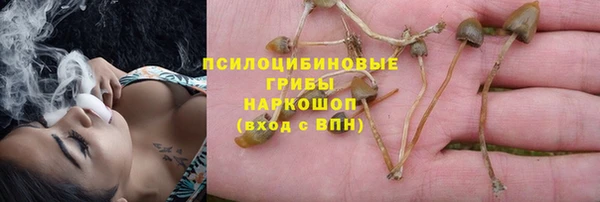 синтетический гашиш Гусиноозёрск