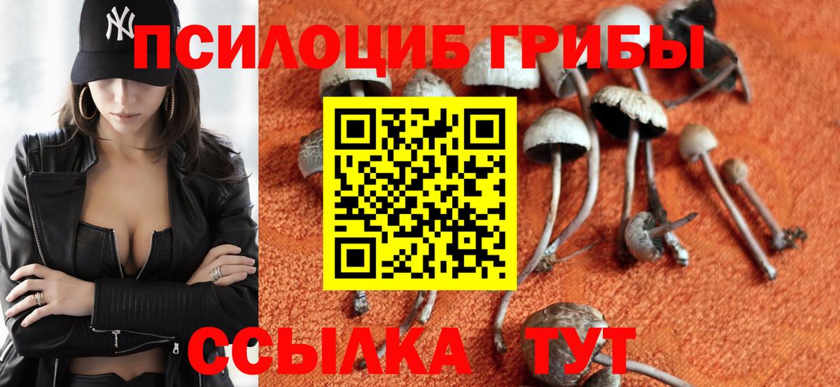 Мончегорск  купить наркотик  Вход с VPN  Псилоцибиновые грибы Psilocybine cubensis 