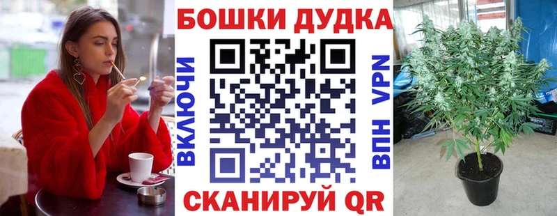 Каннабис гибрид Мончегорск